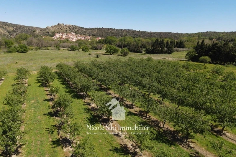 Terrain de 4 825 m²