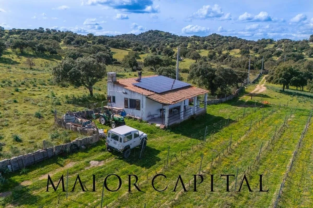 2 - vente terrain oschiri sardaigne italie