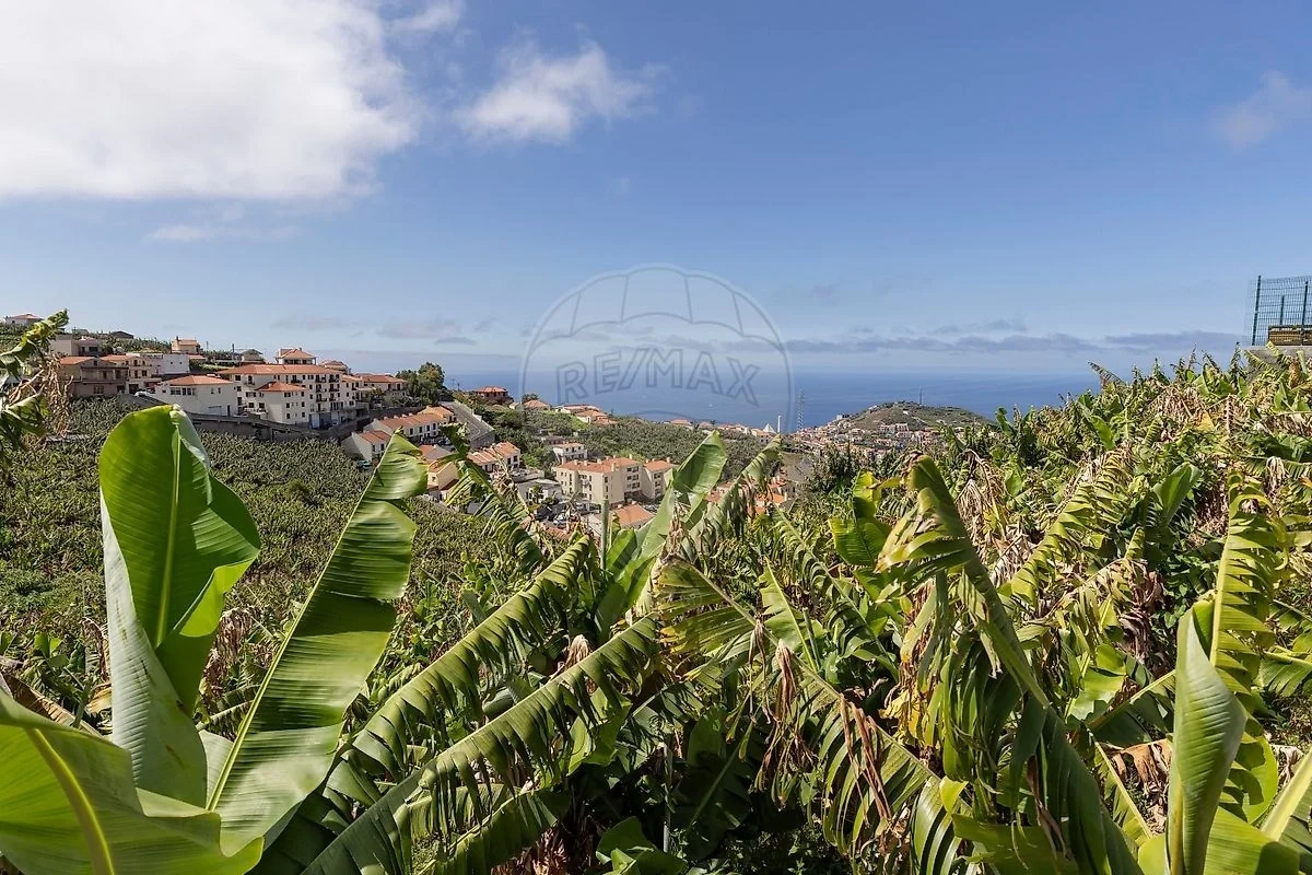 2 - verkauf grundstück meerblick câmara de lobos madeira portugal