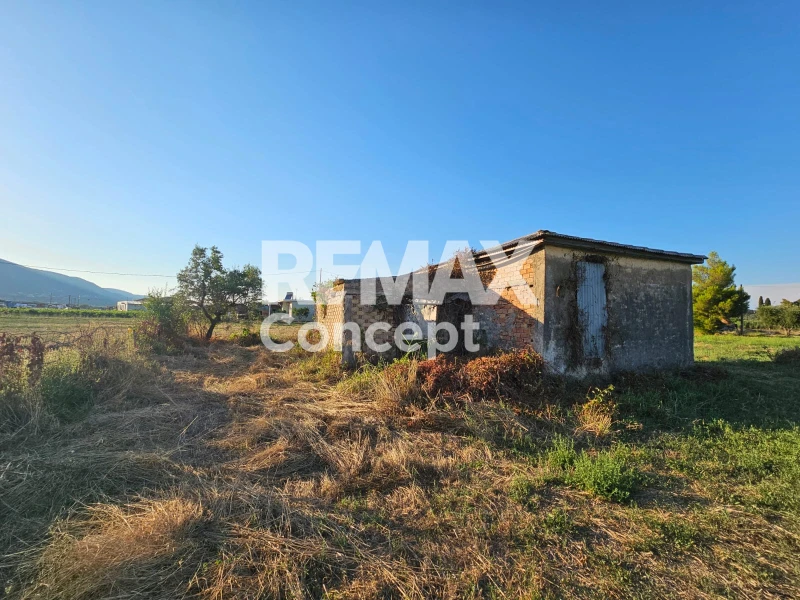 2 - vente terrain zante îles ioniennes grèce