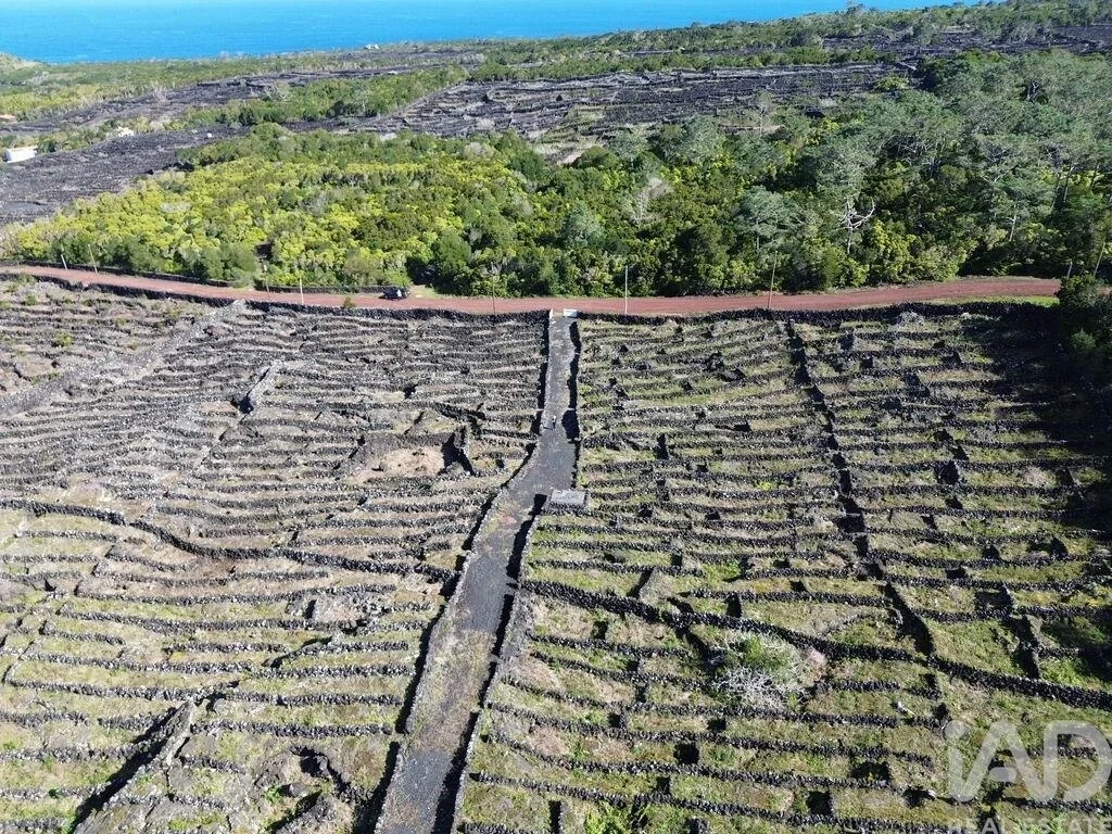 2 - sea view plot of land for sale in madalena the azores portugal