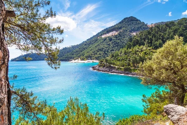 1 - waterfront business for sale in thasos east macedonia and thrace greece