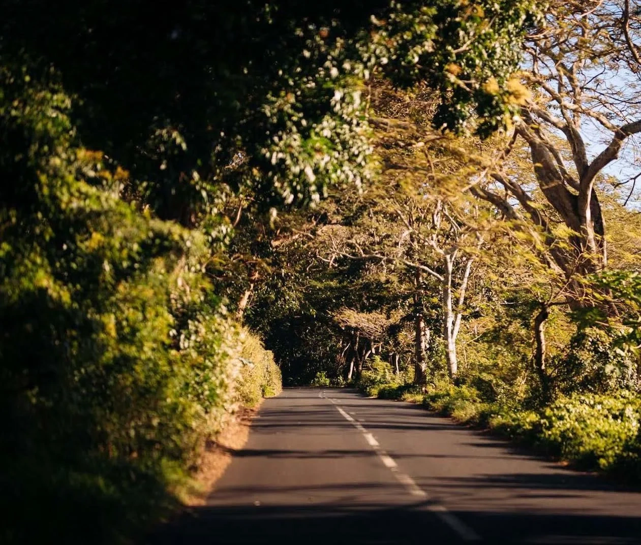 2 - vendita villa beau champ flacq mauritius