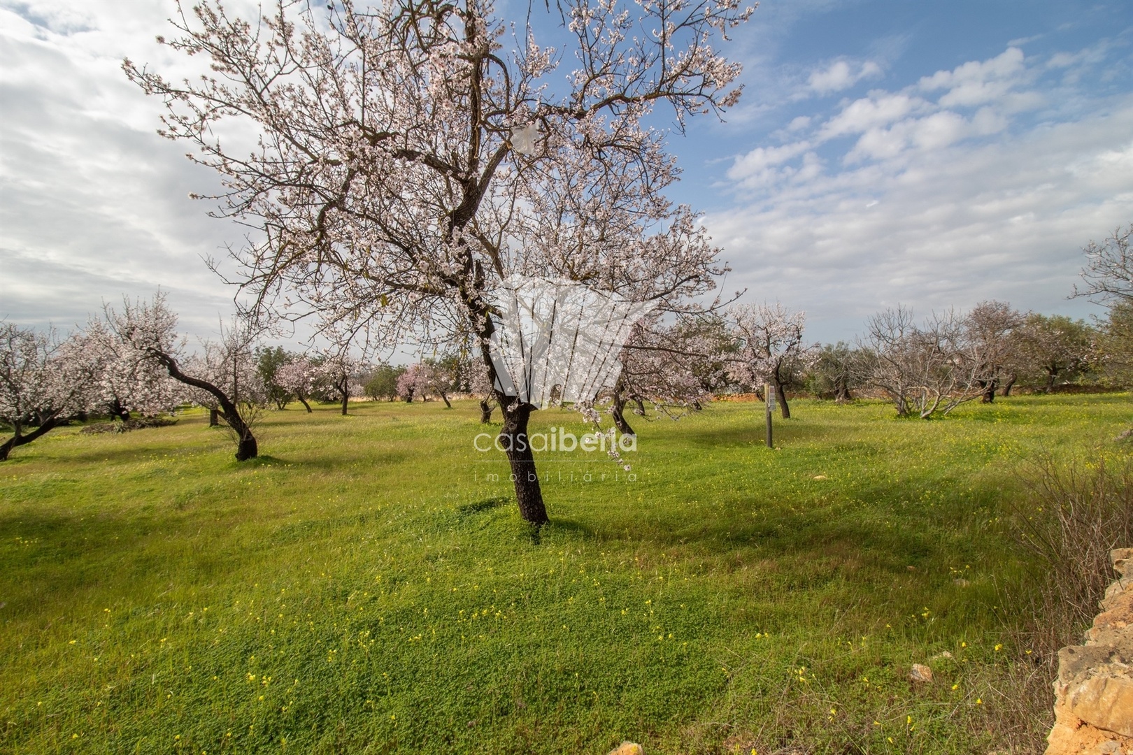 1 - venda terreno estoi algarve portugal