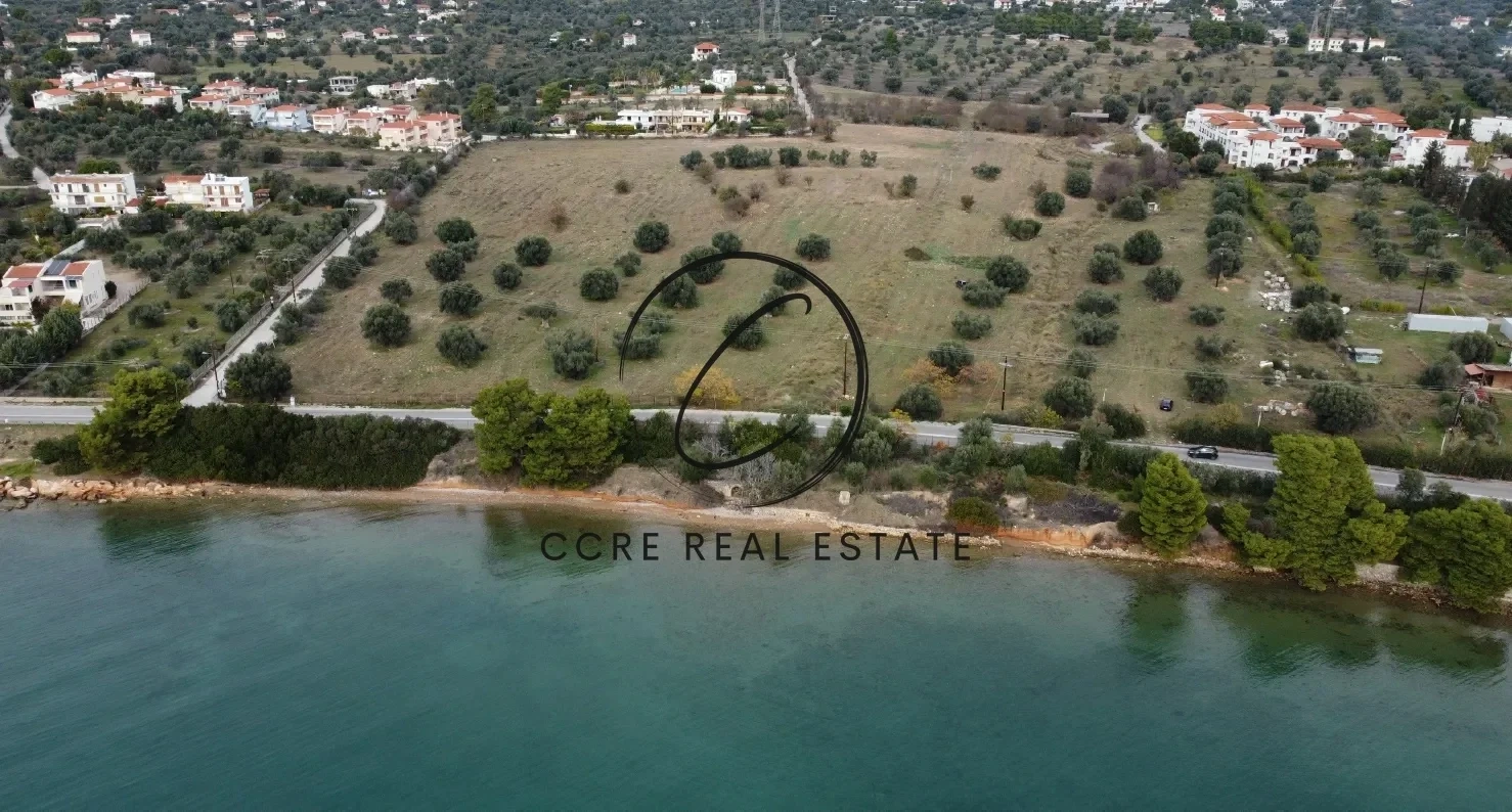 1 - vente terrain vue mer erétria grèce centrale grèce