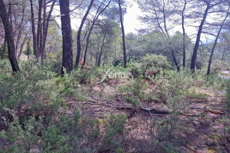 1 - vente terrain salernes var france