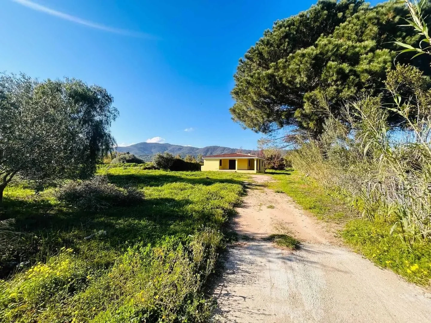 1 - verkauf haus torpe' sardinien italien