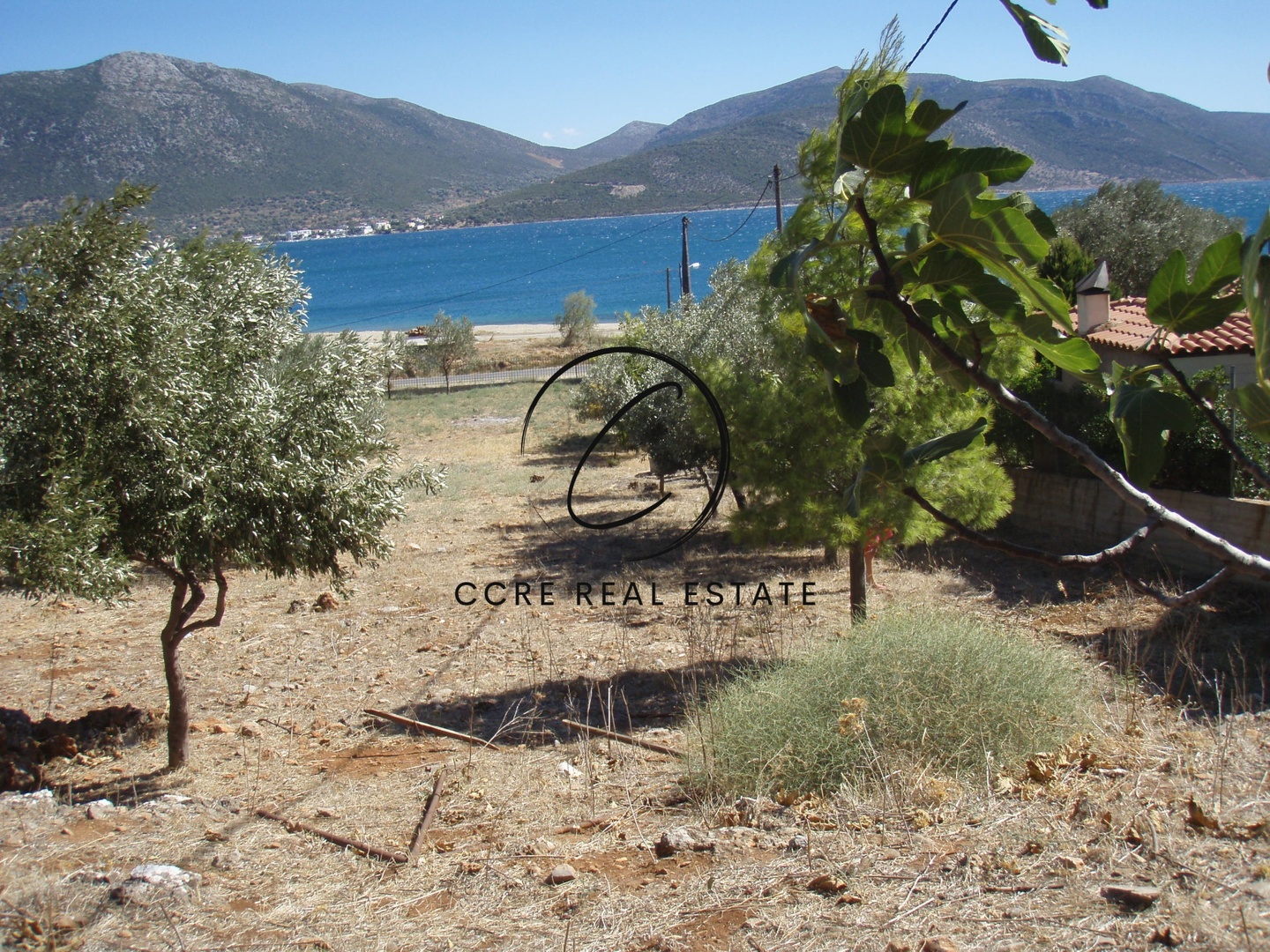 2 - vente terrain plage à pied almiropótamos grèce centrale grèce