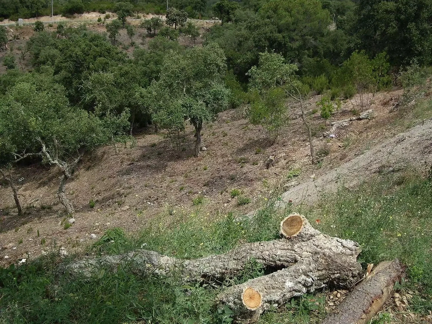 2 - venda terreno calonge catalunha espanha