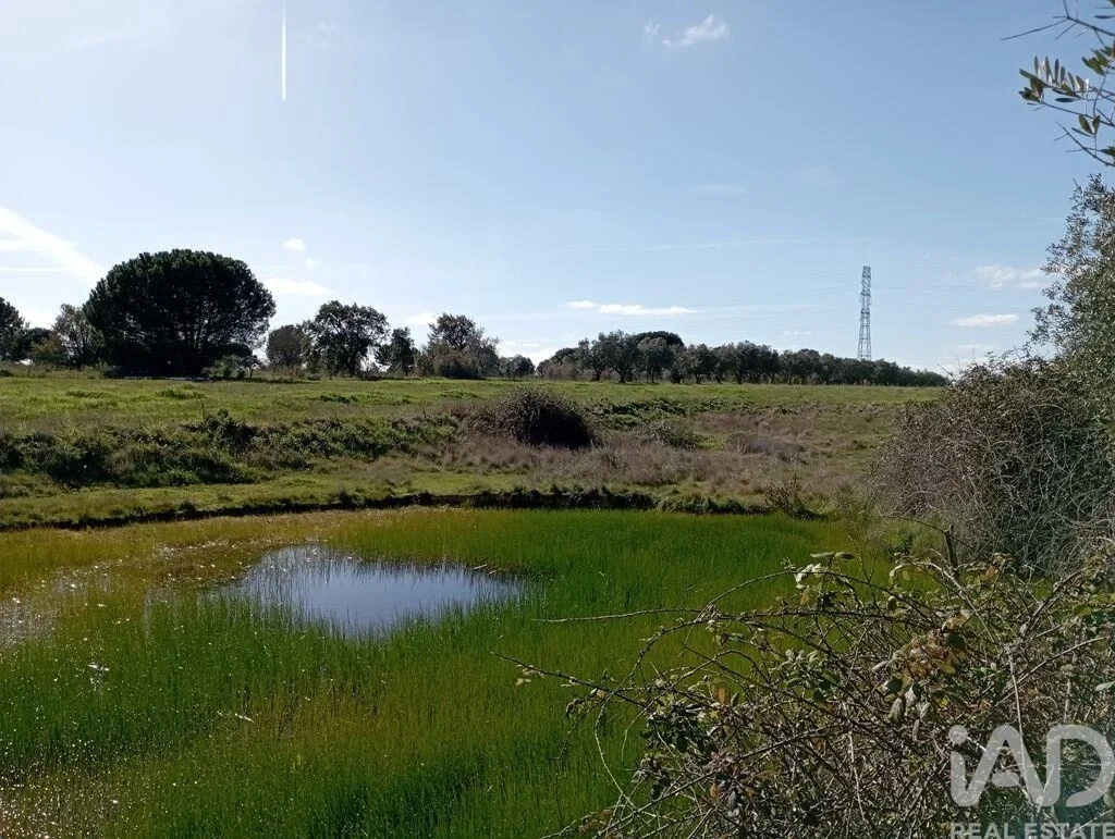 1 - venda terreno santarém alentejo portugal