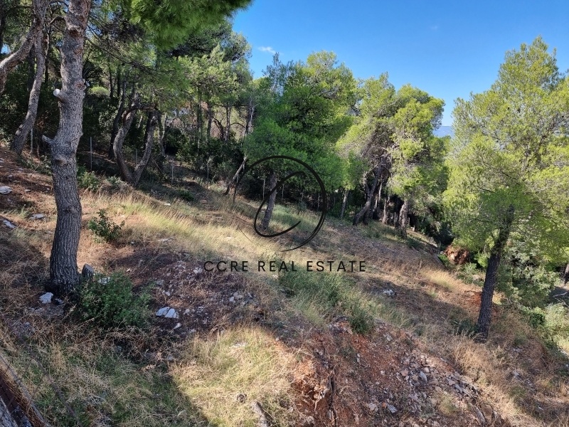 2 - vente terrain ekali attique grèce