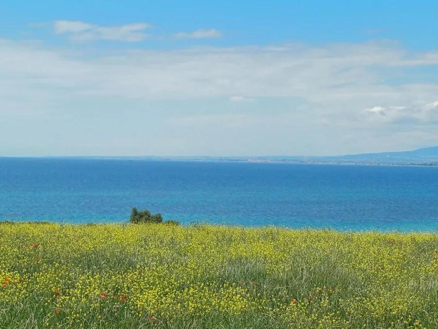 1 - sea view plot of land for sale in gerakini - chalkidiki central macedonia greece
