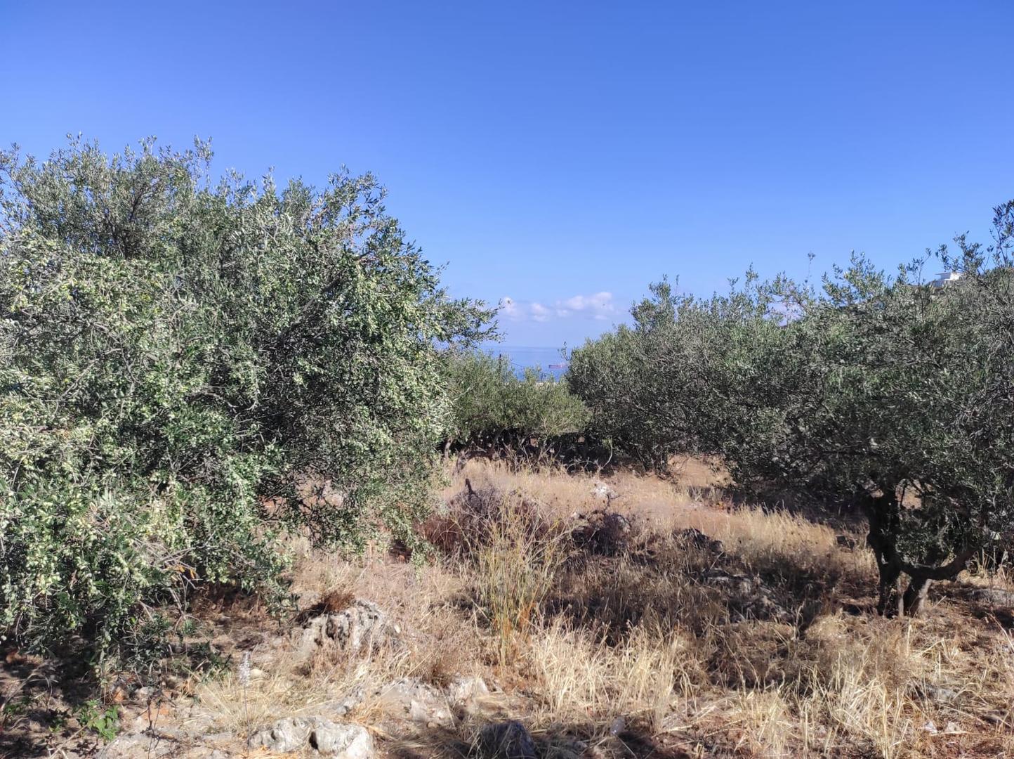 2 - vente terrain vue mer kokkino chorio crète grèce