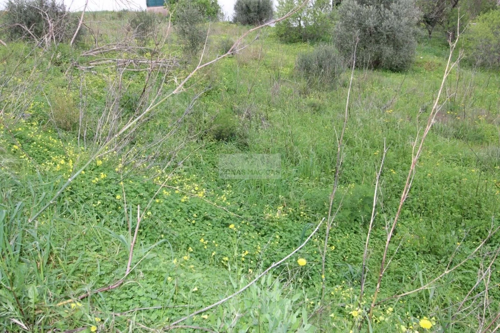 2 - venta terreno lagos algarve portugal
