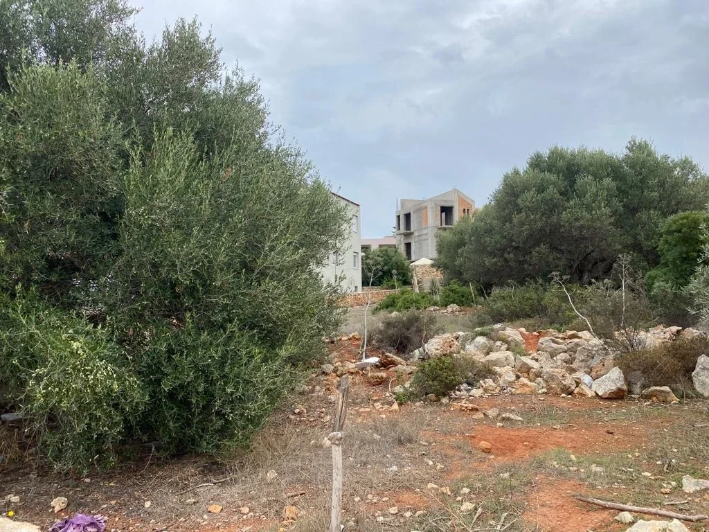 2 - vente terrain kounoupidianá crète grèce