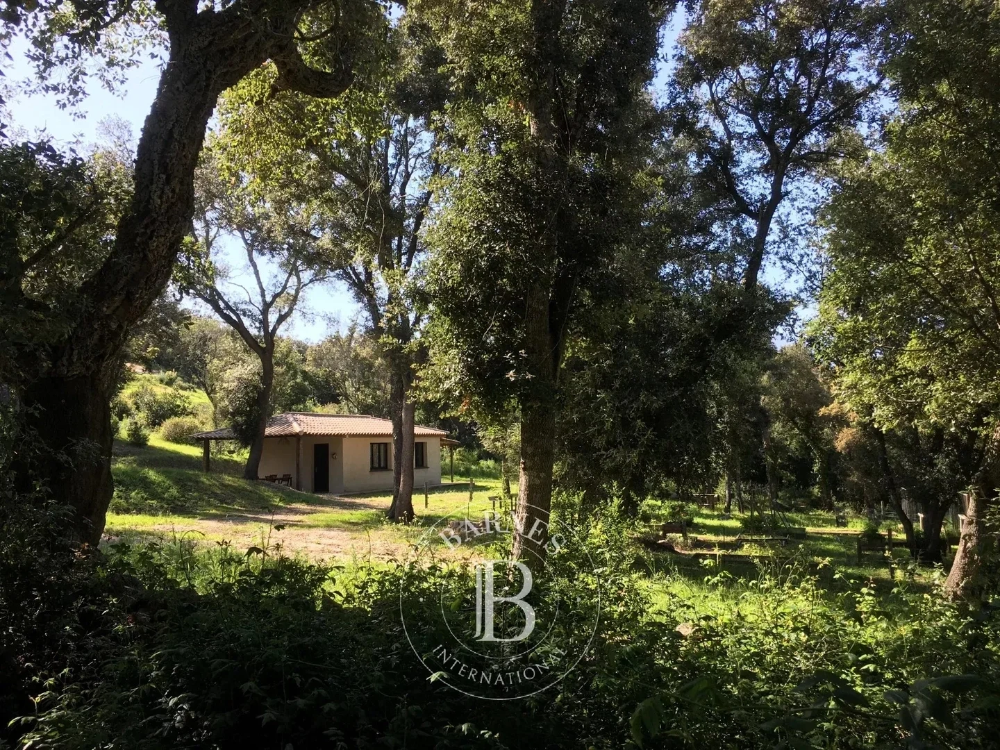 1 - house for sale in porto-vecchio corsica (south) france