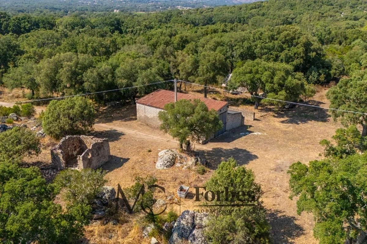 2 - venta apartamento calangianus cerdeña italia