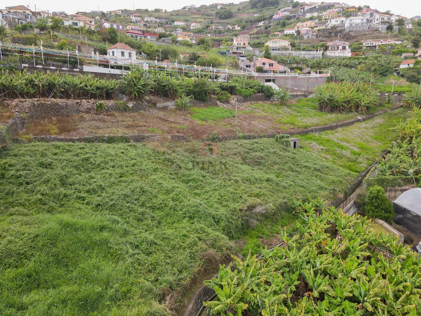 1 - venda terreno ponta do sol madeira portugal