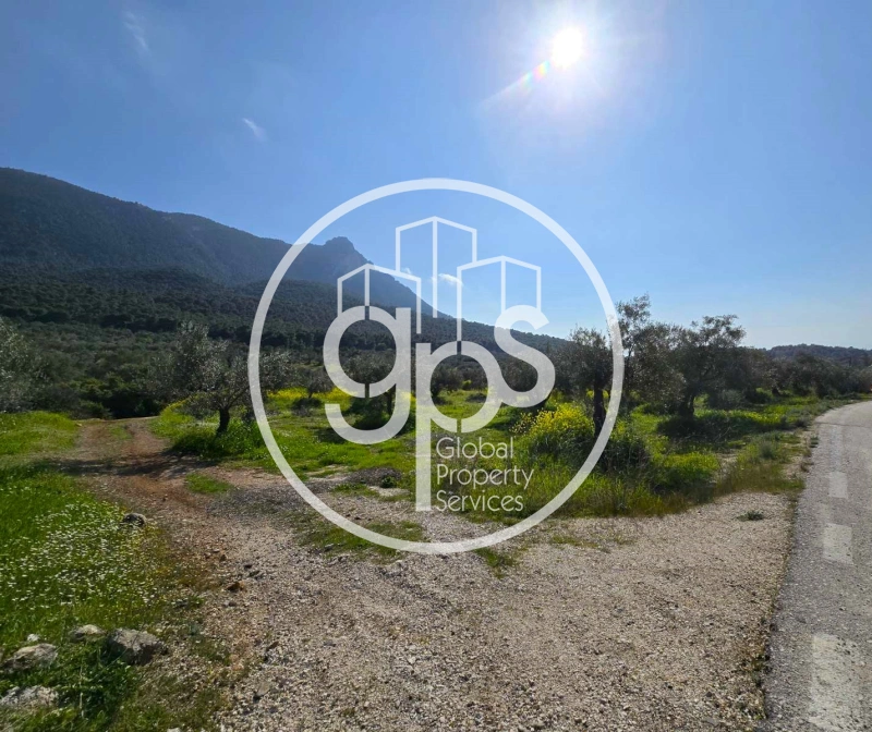 1 - plot of land for sale in perachóra peloponnese greece