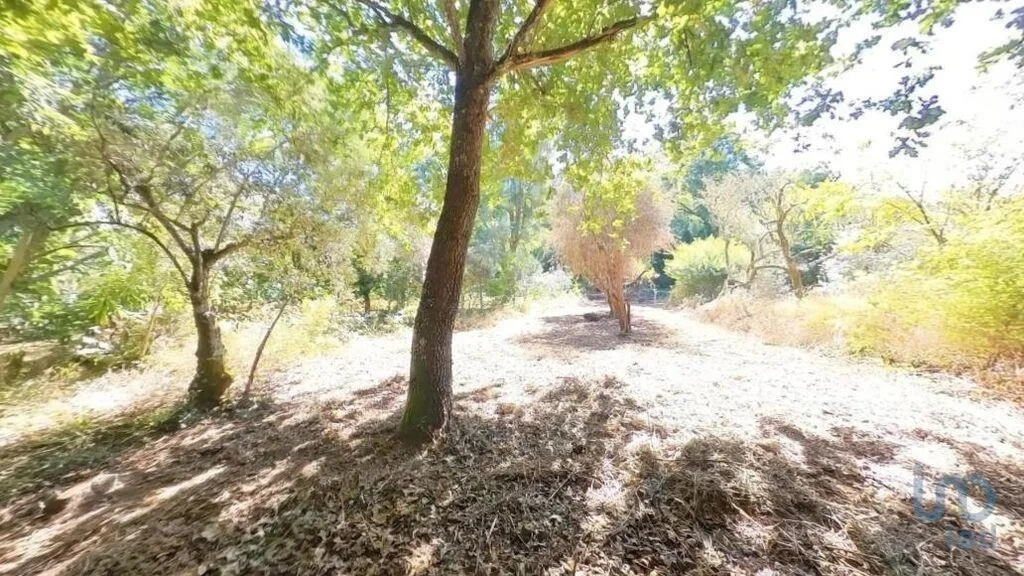 2 - venta casa castanheira de pêra región centro portugal