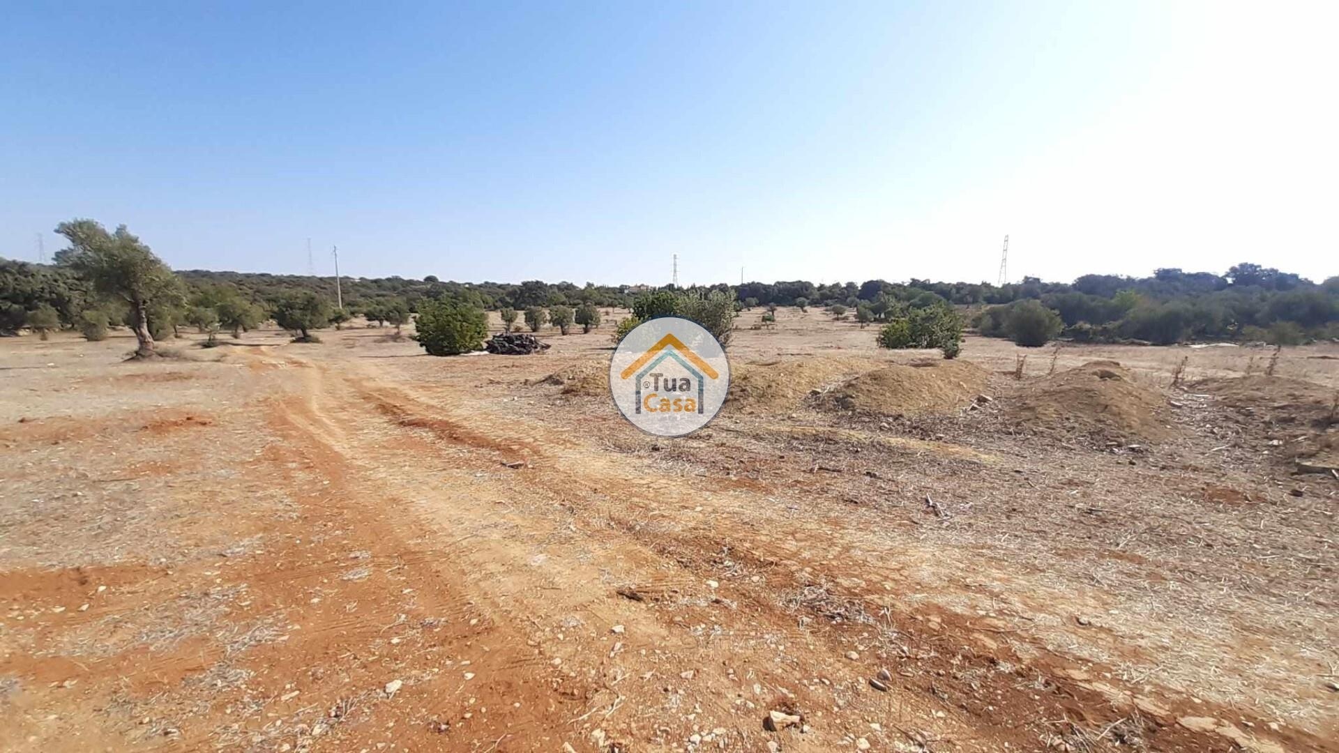 1 - plot of land for sale in faro algarve portugal