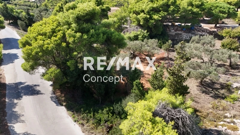 Terreno di 895 m²