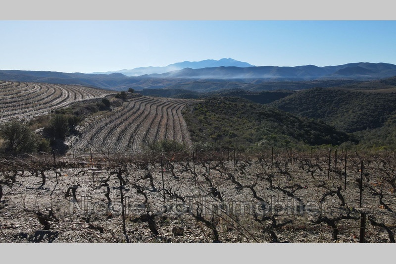 1 - verkoop terrein rasiguères pyrénées-orientales frankrijk
