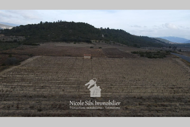 1 - venta terreno tautavel pirineos orientales francia