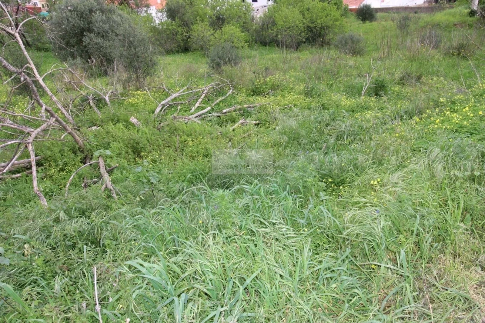 2 - venta terreno lagos algarve portugal