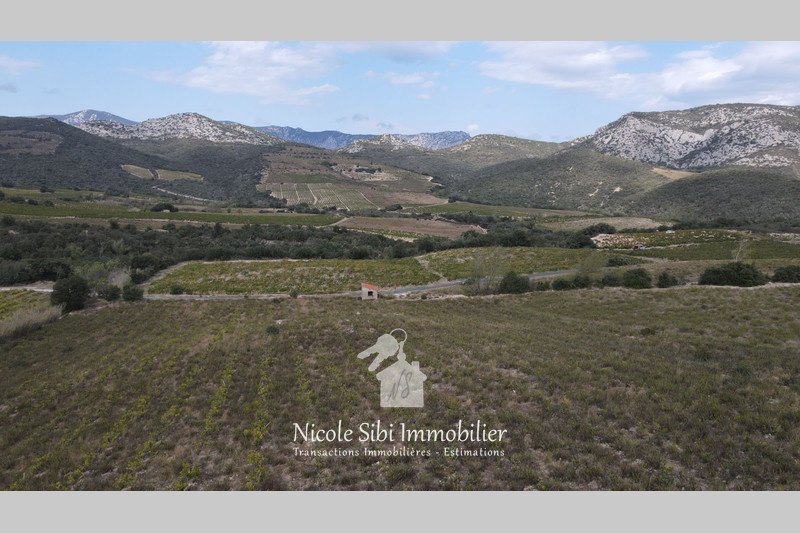 1 - verkoop terrein rasiguères pyrénées-orientales frankrijk