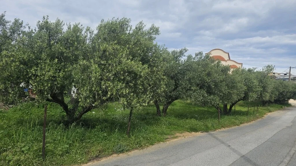 1 - verkauf grundstück agrianá kreta griechenland