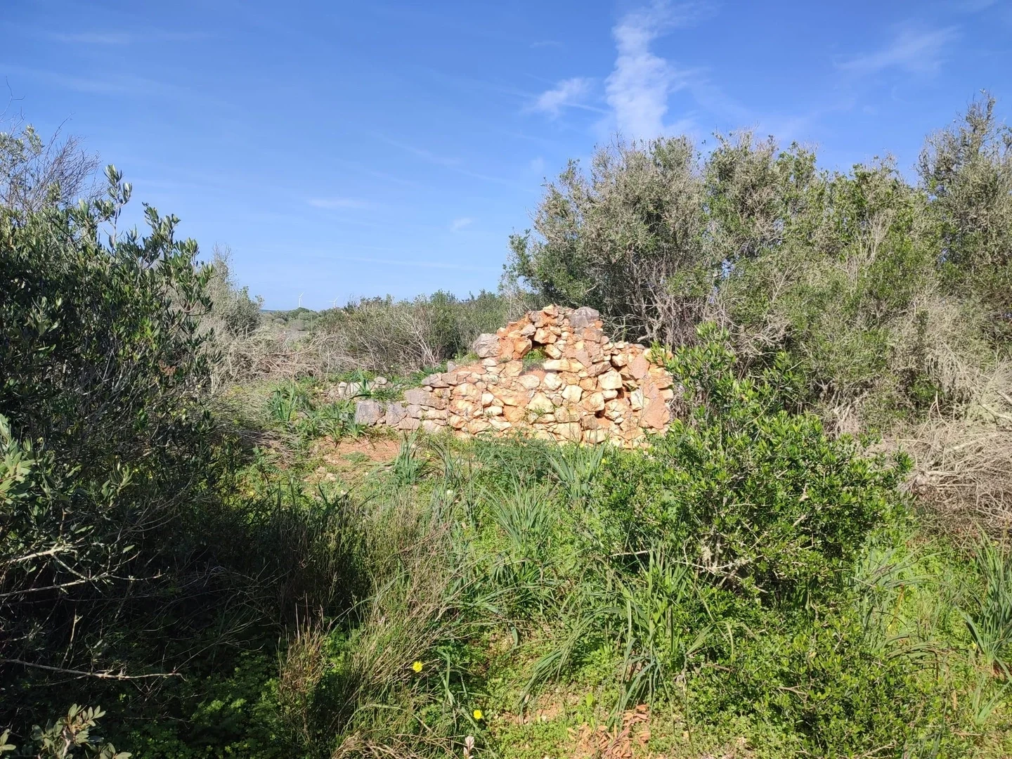 2 - venta terreno vila do bispo algarve portugal