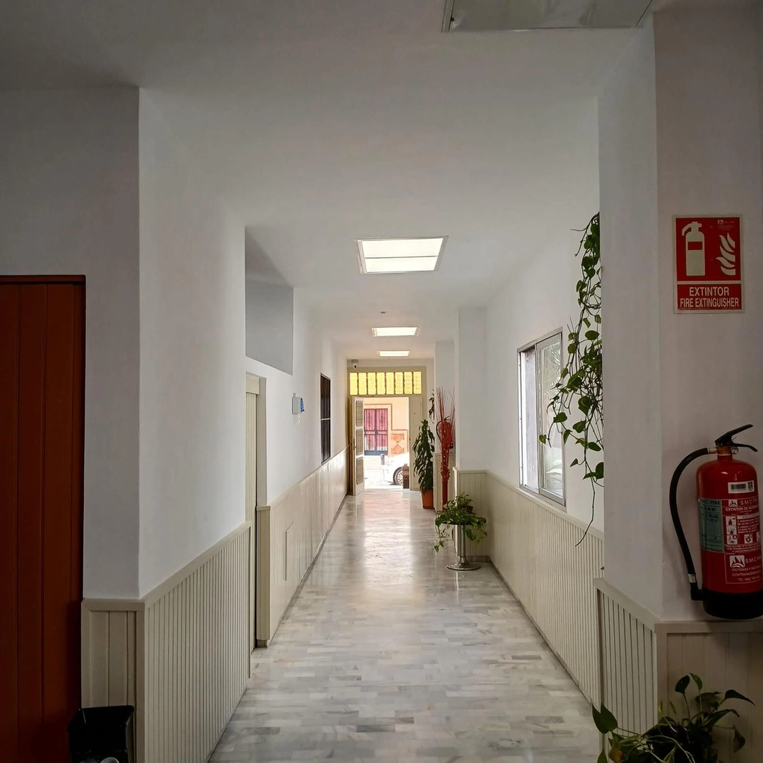 2 - vente commerce san pedro de alcántara andalousie espagne