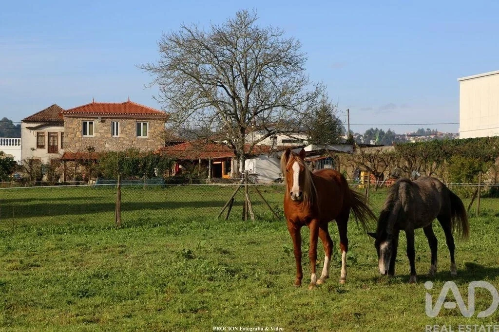 1 - vente propriété oliveira de azeméis région nord portugal