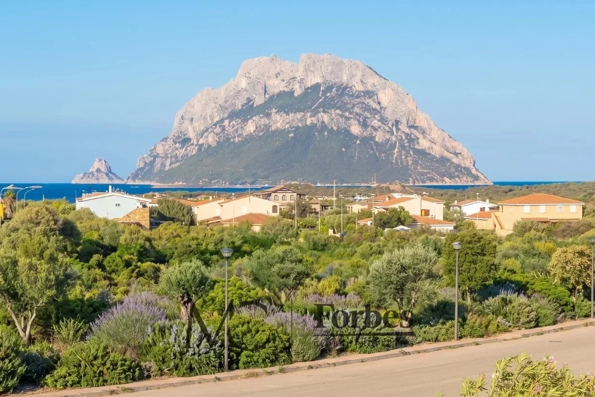 2 - vendita villa vista mare loiri porto san paolo sardegna italia