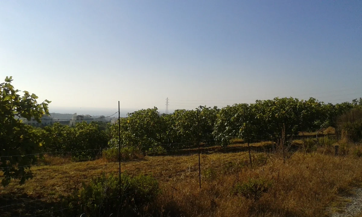 2 - verkauf grundstück meerblick casares - costa del sol andalusien spanien