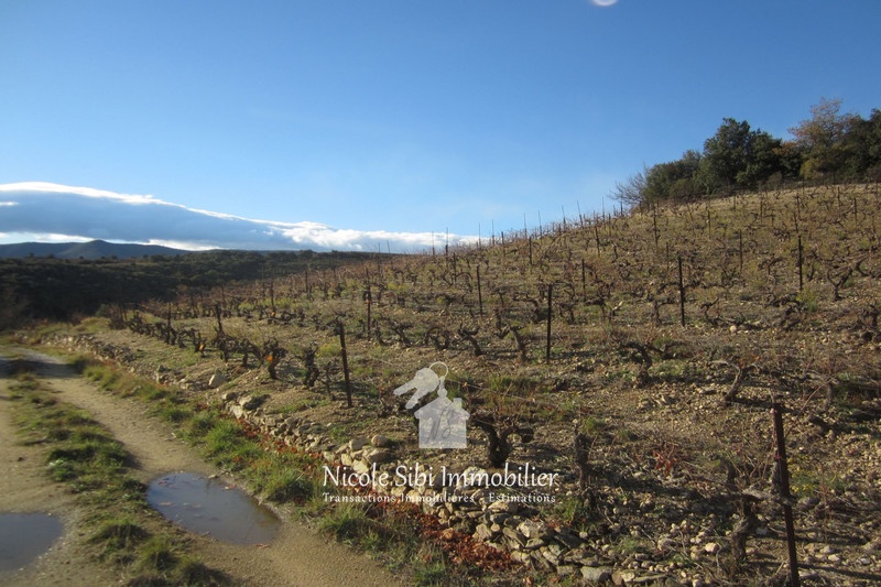 1 - verkoop terrein lansac pyrénées-orientales frankrijk