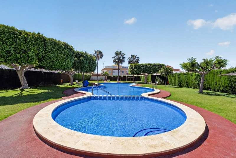 2 - продажа коммерция torrevieja - costa blanca валенсия испания