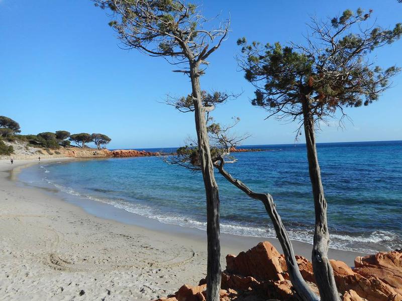1 - sea view estate for sale in porto-vecchio corsica (south) france
