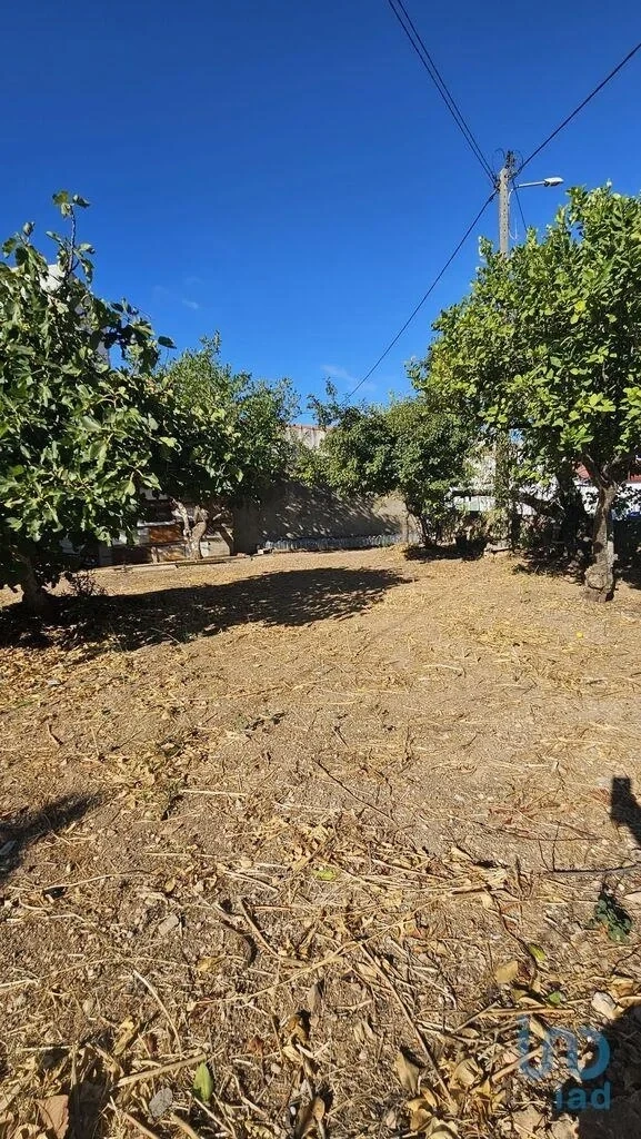 1 - vendita terreno loulé algarve portogallo