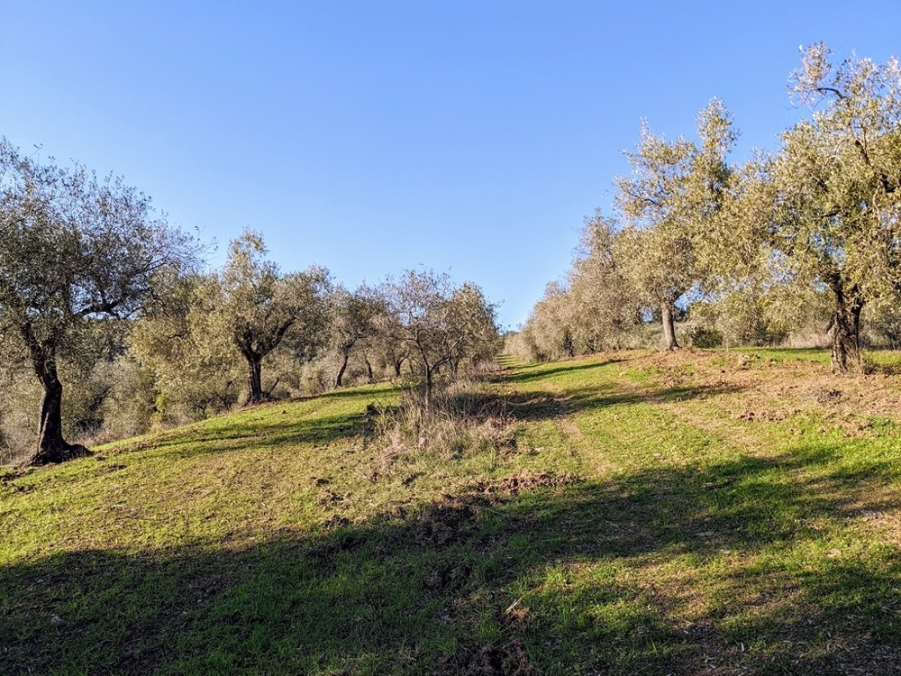 1 - business for sale in gavorrano tuscany italy