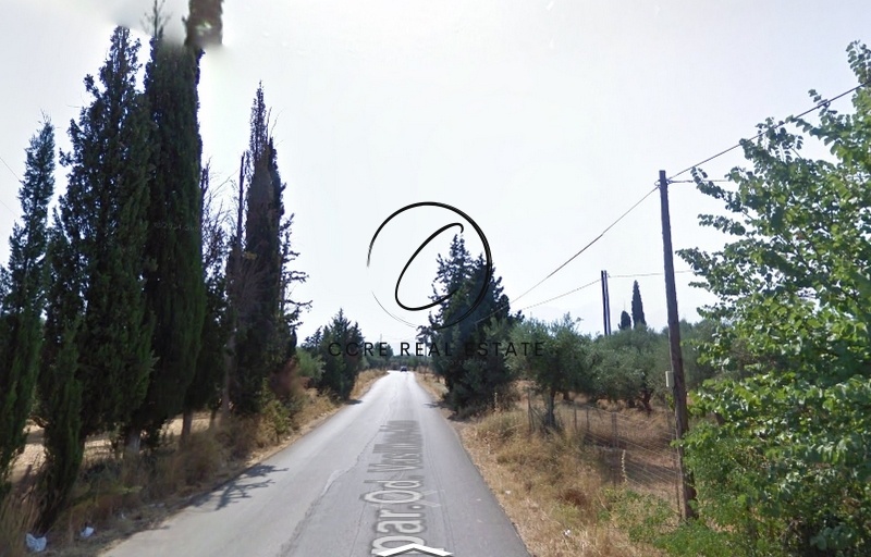 1 - venta terreno olenia grecia occidental grecia