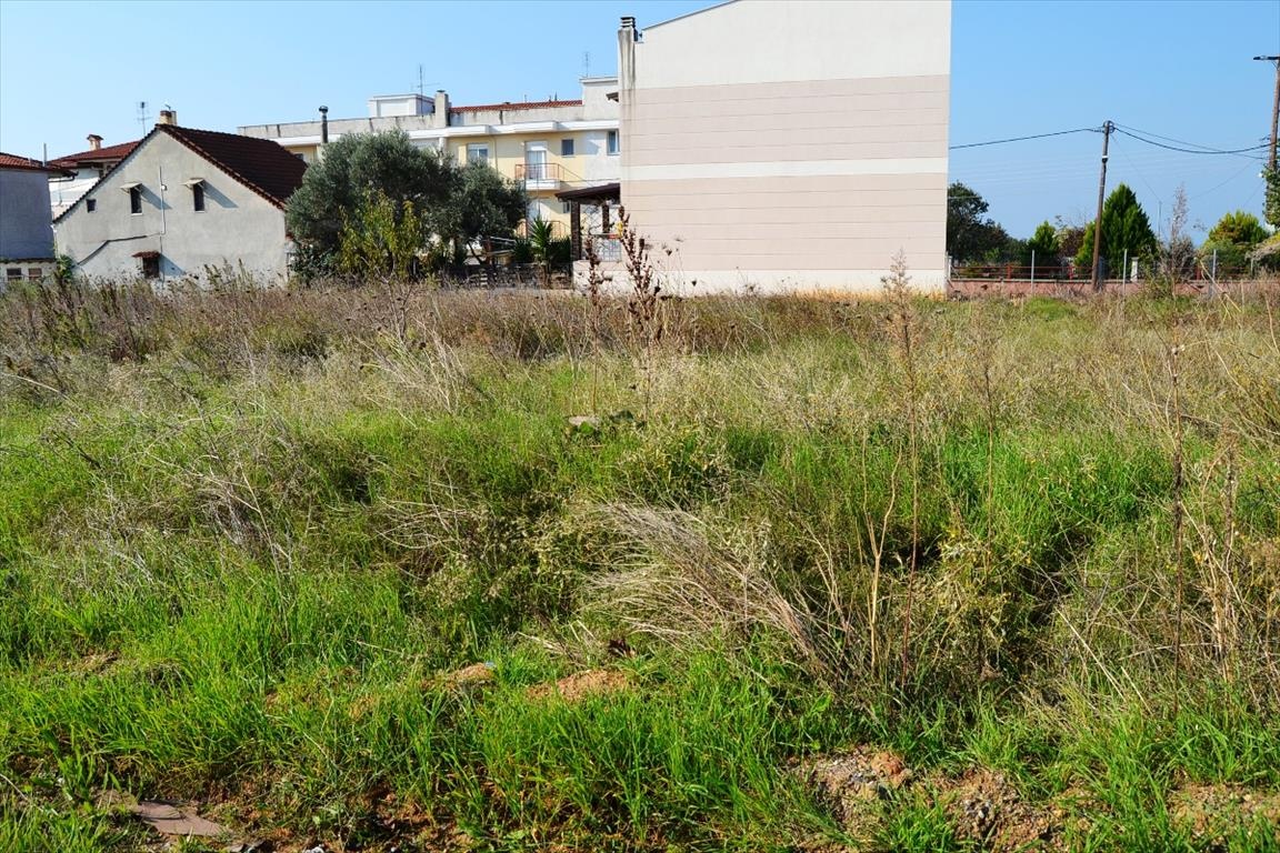 2 - vente terrain plage à pied néa michanióna macédoine centrale grèce