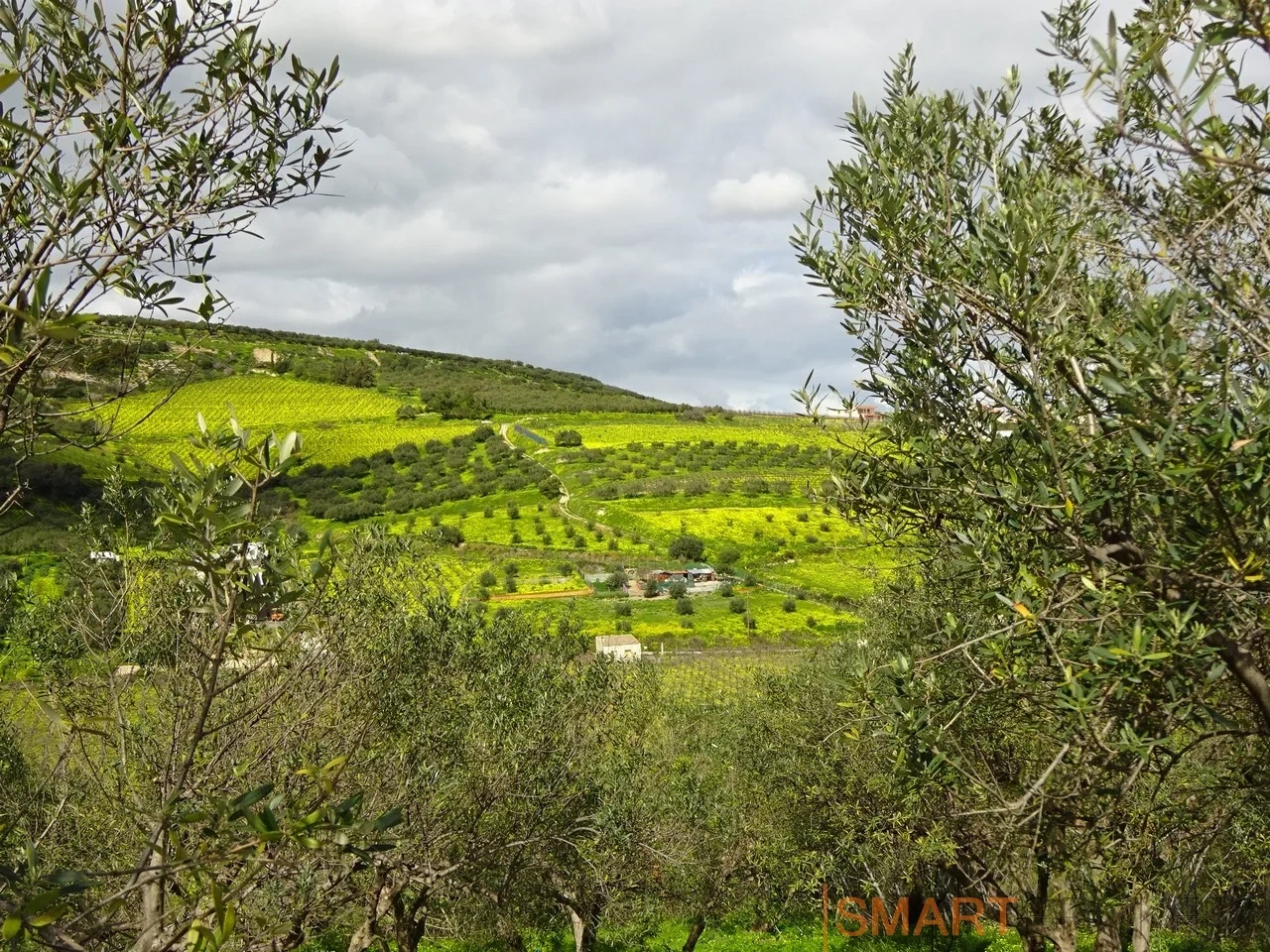 1 - vendita terreno archanes creta grecia