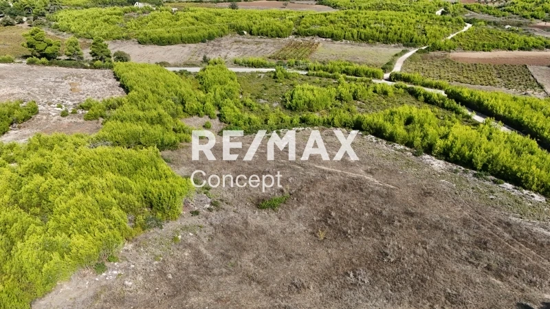 Terreno di 4 603 m²