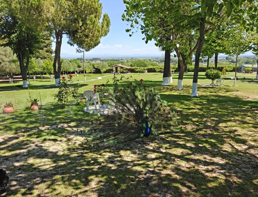1 - sea view house for sale in korinós central macedonia greece