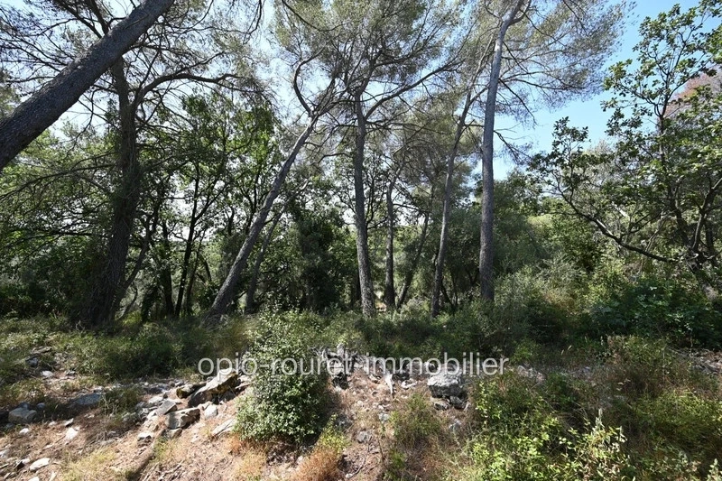 1 - verkauf grundstück roquefort-les-pins alpes-maritimes frankreich