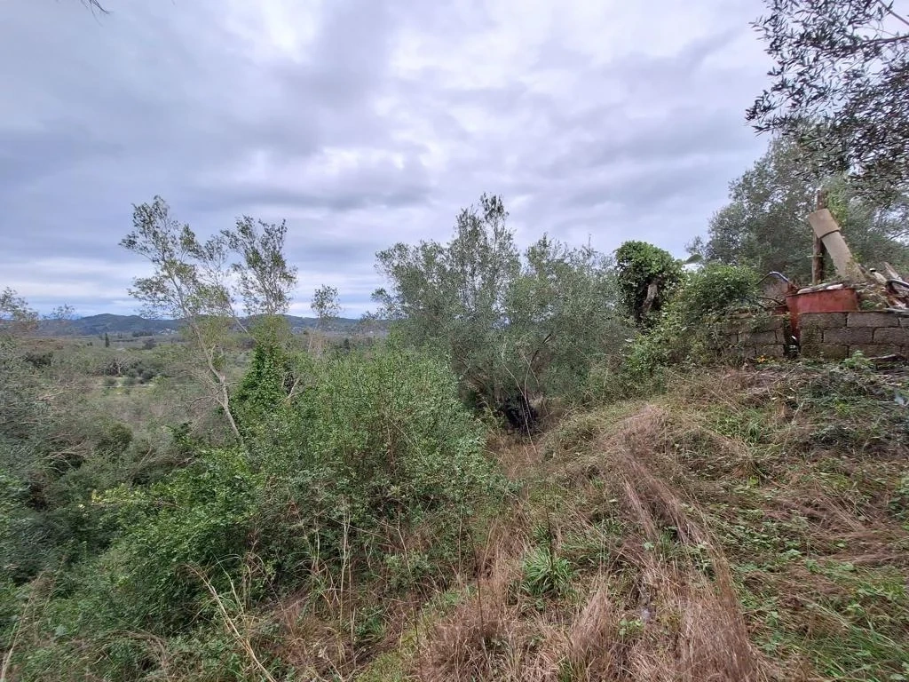 2 - vente terrain mesongí îles ioniennes grèce