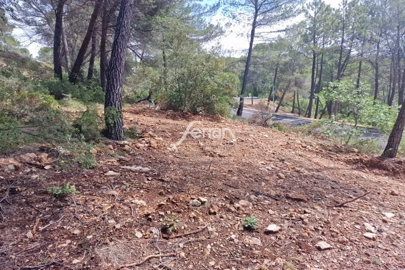 1 - vente terrain salernes var france