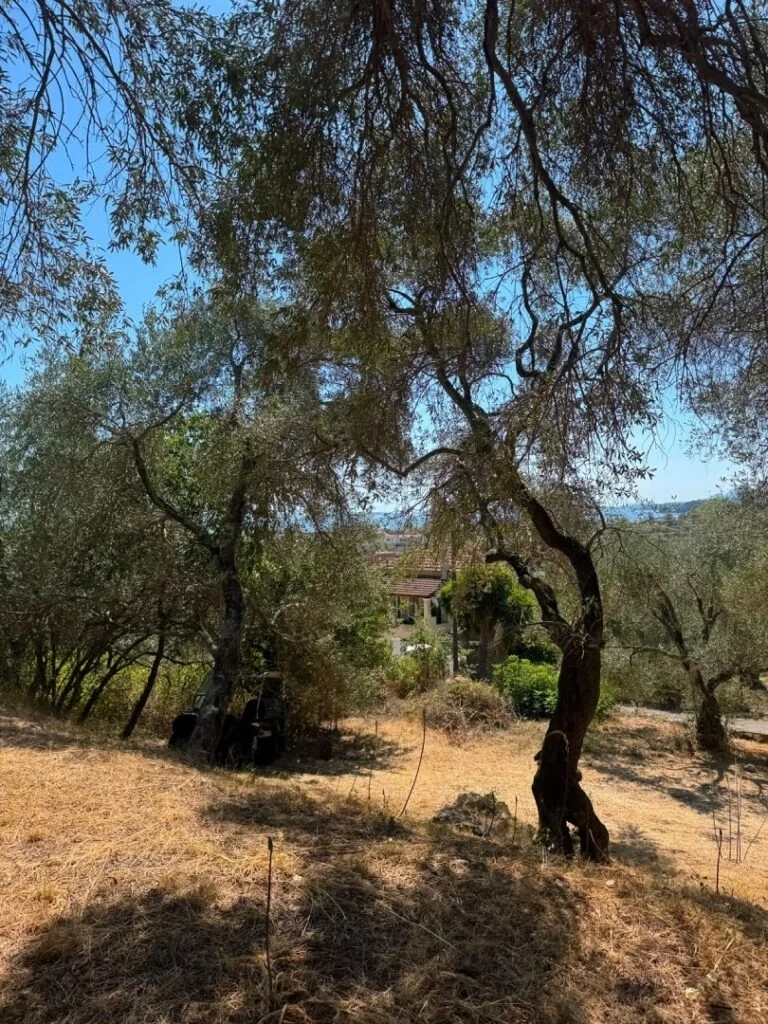 1 - venta terreno frente al mar ypsos islas jónicas grecia